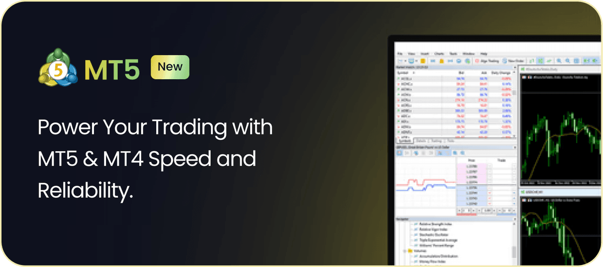 MT5 Platform